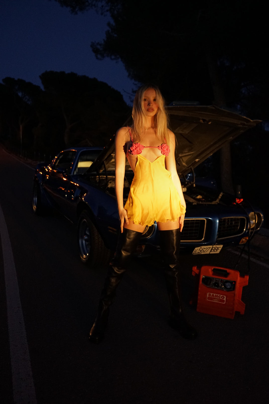 Nymph - Dress in Pink Rose