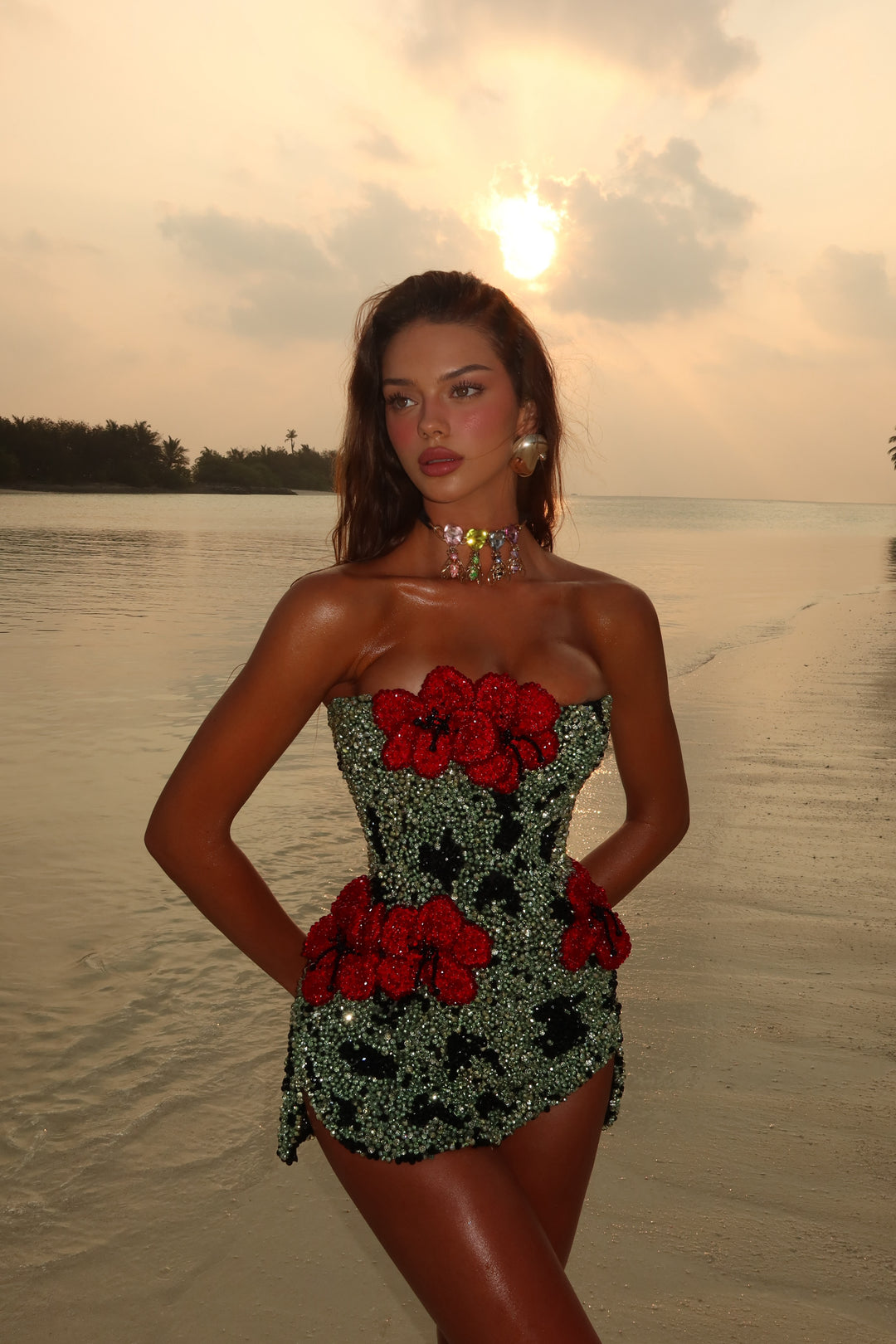 “Scarlet Garden” Dress