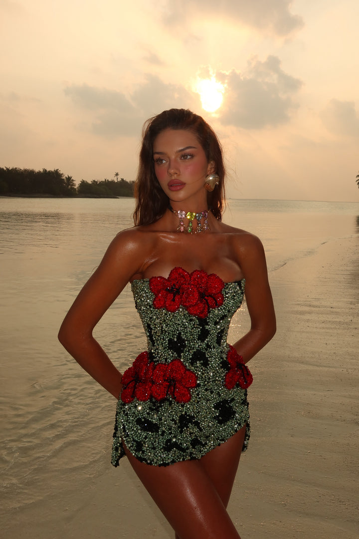 “Scarlet Garden” Dress